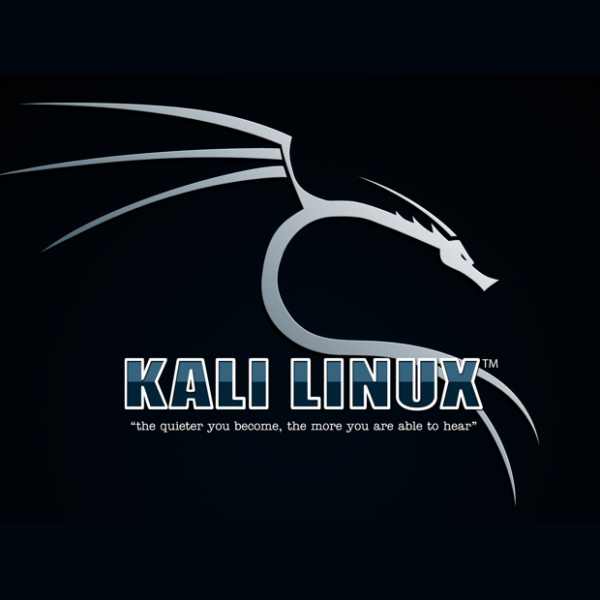 Kali Linux live with 64GB USB Stick
